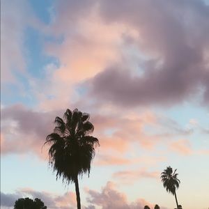 Meet your Posher, Ashleigh